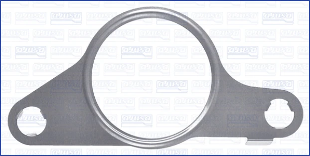 TAF PPL - Joint, flexible vanne EGR