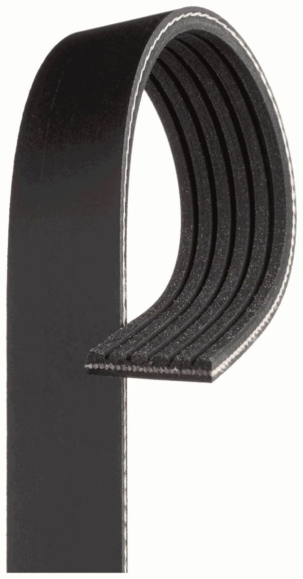 TAF PPL - COURROIE ACCESSOIRES